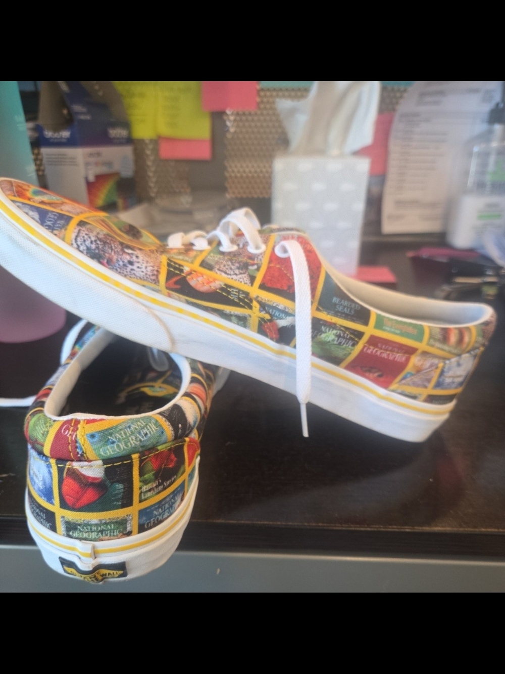 National Geographic Multicolor Graphic Canvas Sneakers - Picture 2 of 6